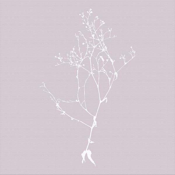 Botanica Delicata. Abstract Retro Botanical in Silver Mauve soft  pink by Dina Dankers