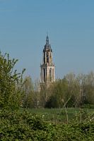 Church Cunera in Rhenen
