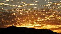 Tangerine Twilight
