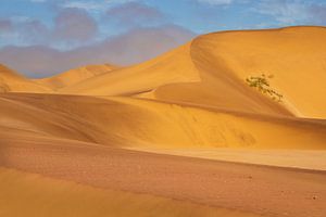 Sanddünen von Swakopmund