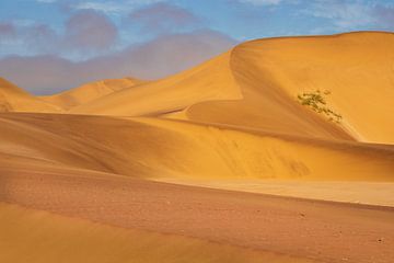Sand dunes of Swakopmund by Antwan Janssen