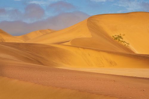 Sanddünen von Swakopmund