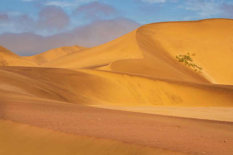 Sand dunes of Swakopmund by Antwan Janssen