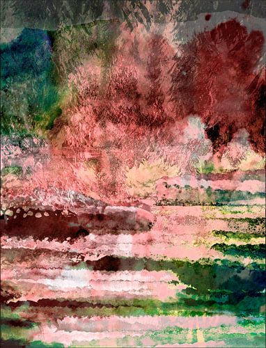 Zonsopgang in de zomerjungle