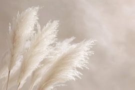 Pampasgras, beigetöne, Kunst, Wohnzimmer, Natur, schlichte Eleganz, Details, beruhigend, harmonisch, friedlich, Dekoration, zeitlos von Poster Art Shop