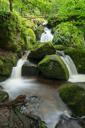 Waterval in het Zwarte Woud