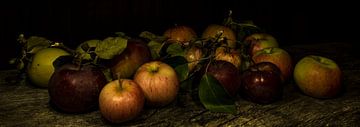 appels van arjan doornbos