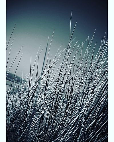 Beach von Ineke Westerhof