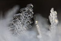Eiskristall-Weihnachtsbaum