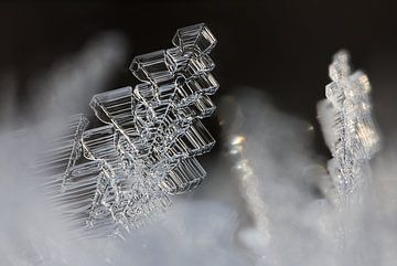 Eiskristall-Weihnachtsbaum von Elbert-Jan Achterberg