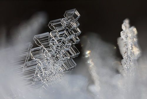 Eiskristall-Weihnachtsbaum