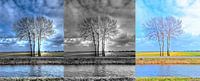 Langdrieluik bomen