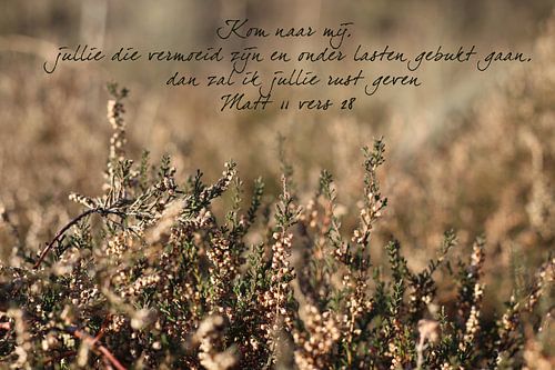 Bijbeltekst Mattheüs 11 vers 28 nbv