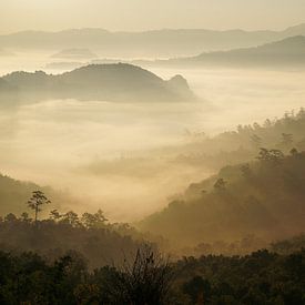 Beautiful sunrise in Thailand by Floris Verweij