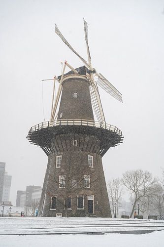 Molen de Valk in Leiden van Melanie van der Rijt