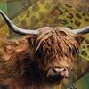 Highlander écossais - portrait artistique coloré sur Saranda Foto Art