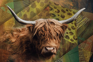 Schottischer Highlander - buntes Kunstporträt