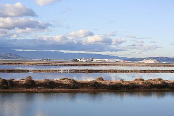 waterlandschap