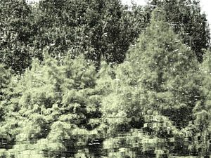 Urban Reflections 86-A