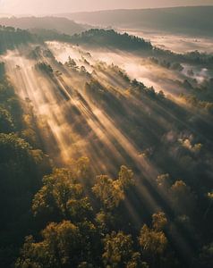 Herbstwald im Sonnenaufgang