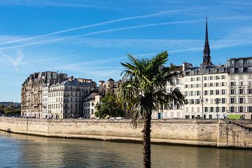 Blick auf Gebäude an der Seine in Paris, Frankreich von Rico Ködder