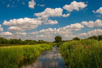 Zomer in het Binnenveld
