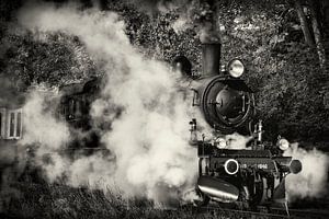 Dampflokomotive 1040 der ZLSM