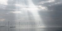 Mist in Borssele