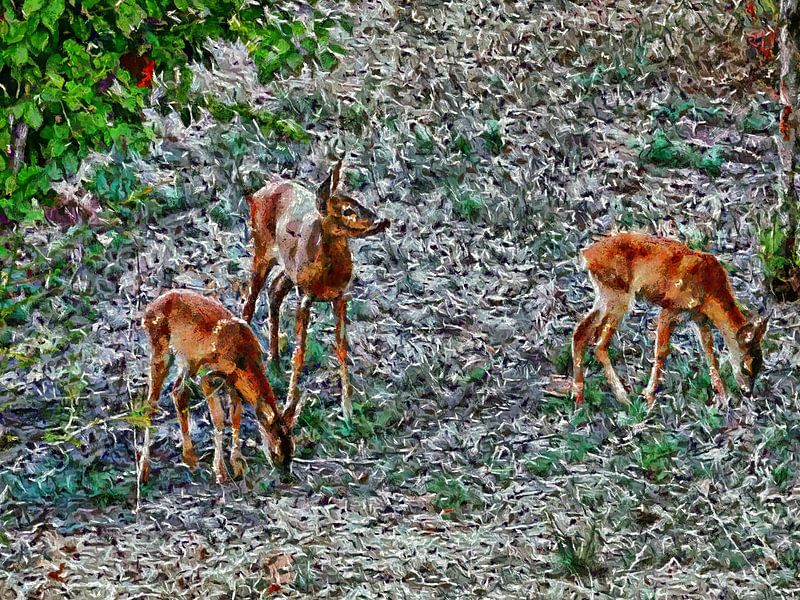A Roe Deer Family Impression by Dorothy Berry-Lound