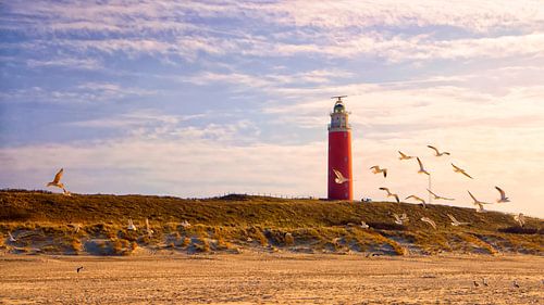 Eierland, de Texelse vuurtoren. van Alida Stuut