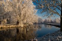 Winter Wonderland