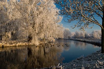 Winter Wonderland von Mike Fortgens