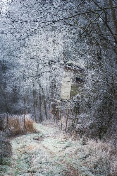 Landschaft im Frost von Tobias Luxberg