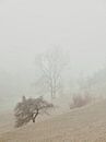 Brouillard de novembre dans l'Ostalb 1 par Max Schiefele Aperçu