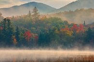 Herbst im Adirondack Park. von Henk Meijer Photography Miniaturansicht