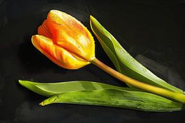 Gelbe Tulpe mit Wassertropfen auf Schwarz von Art & Soul Creations