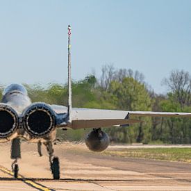 Milice du Bayou McDonnell Douglas F-15C Eagle. sur Jaap van den Berg