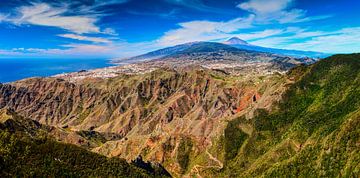 Panoramisch uitzicht vanaf de berg El Bailadero van Yevgen Belich