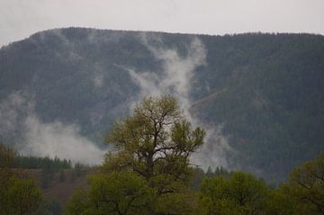 damp in de morgen sur Robert Lotman