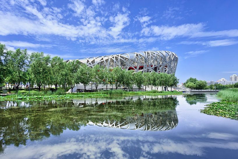 Bird's Nest with blue sky mirrored in a pond by Tony Vingerhoets