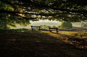 Sonnenaufgang auf der Posbank