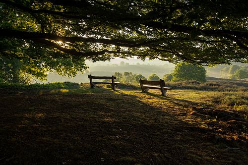 Zonsopkomst op de Posbank