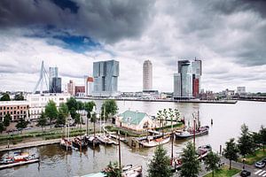 Rotterdam vanuit de Veerhaven van Pieter Wolthoorn