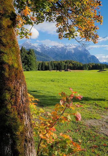 Herfstsfeer in de bergen - kleurrijke pracht, rust en de magie van de natuur