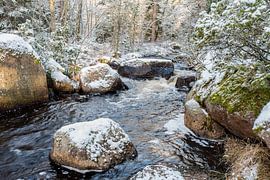 Suède 0130 sur Geertjan Plooijer