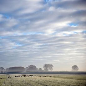 ganzentrek van Mariska Hofman