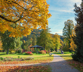 beautiful spa garden Kreuth, with colorful shrubs and trees by SusaZoom