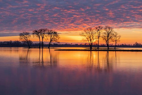 Zonsopkomst Reeuwijkse plas