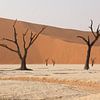 Deadvlei - Le cœur de la Namibie sur Anouk Kooiman