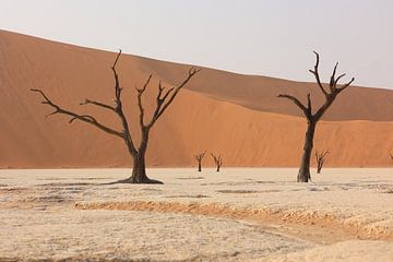 Deadvlei - The Heart of Namibia by Anouk Kooiman